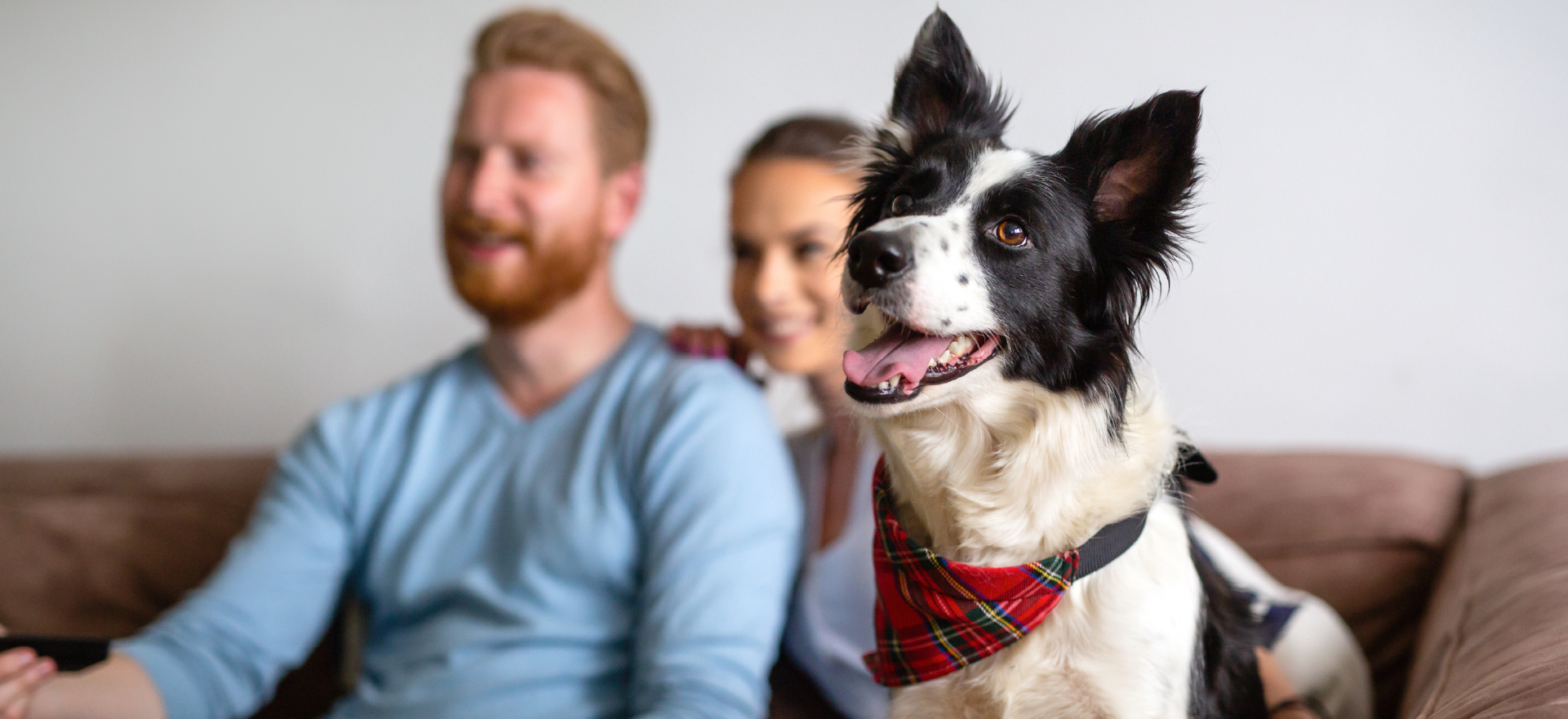 Pet friendly apartment at Falls of Braeburn with couple and dog in Southwest Houston